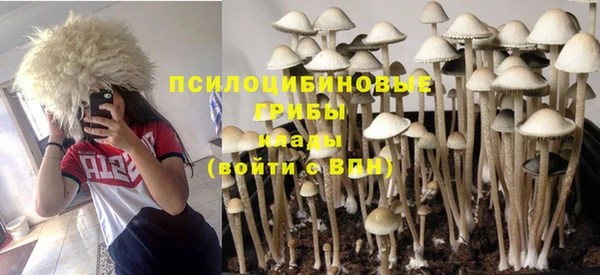 МДПВ Верея