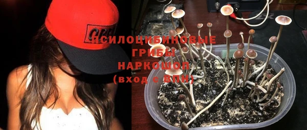 хмурый Волосово