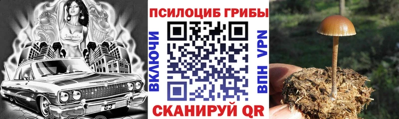Галлюциногенные грибы мухоморы  Купить закладки  Новотроицк 