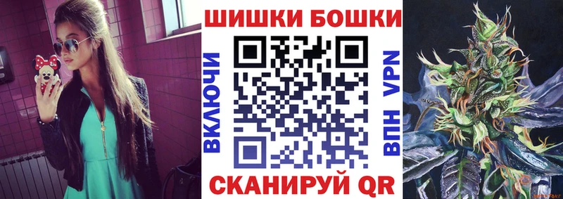 Конопля SATIVA & INDICA  Купить закладки  Новотроицк 